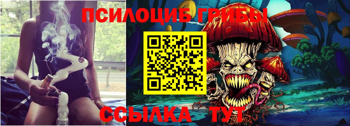 Волгоград  Галлюциногенные грибы Psilocybine cubensis  Вход с VPN 